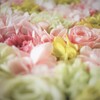 bouquet sofa