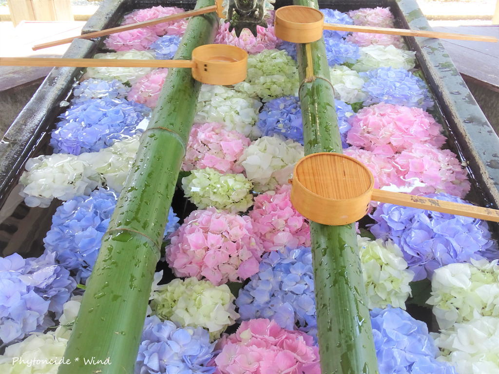 花手水