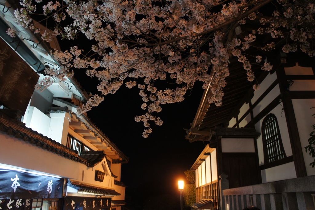 二寧坂の夜桜