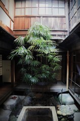 元遊郭の中庭