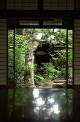 ちゃぶ台に涼風