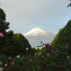 富士山の見える公園