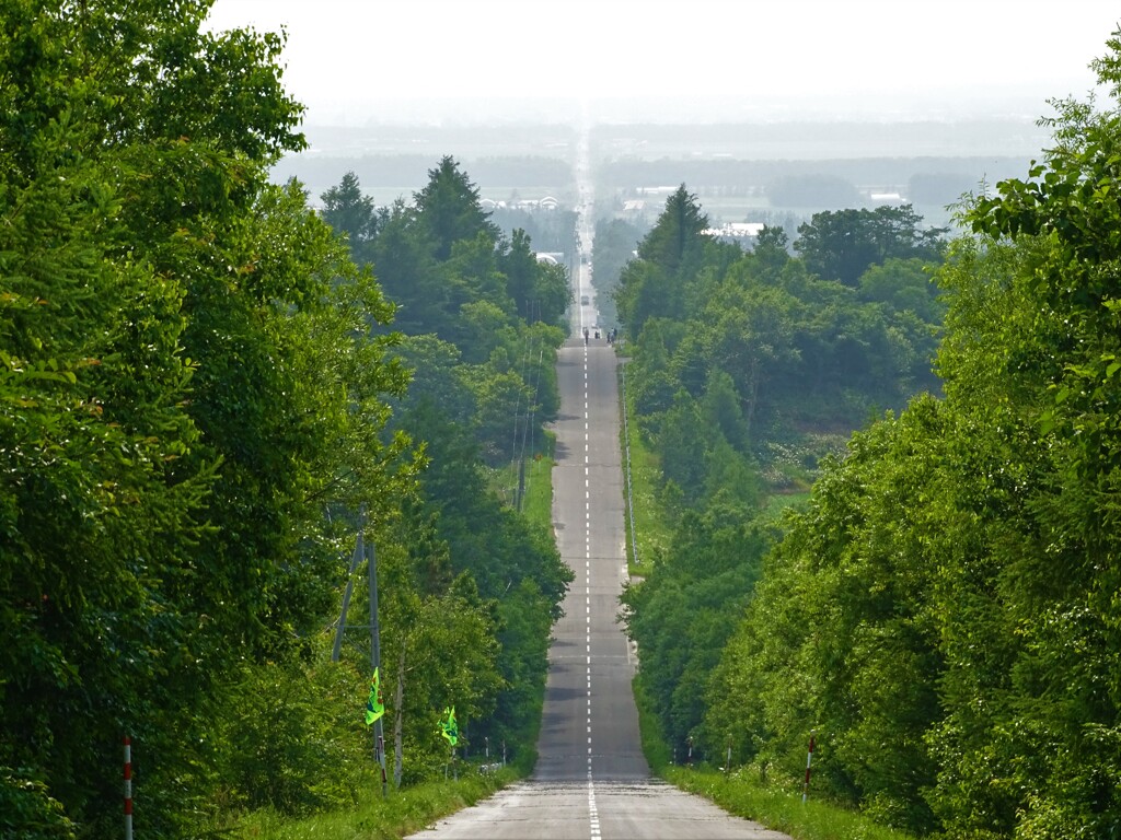 天に続く道