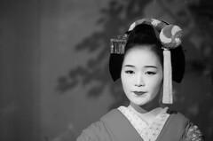 畳で庭木の影を纏う