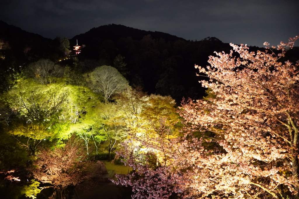 清水寺の春夜景