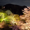 清水寺の春夜景