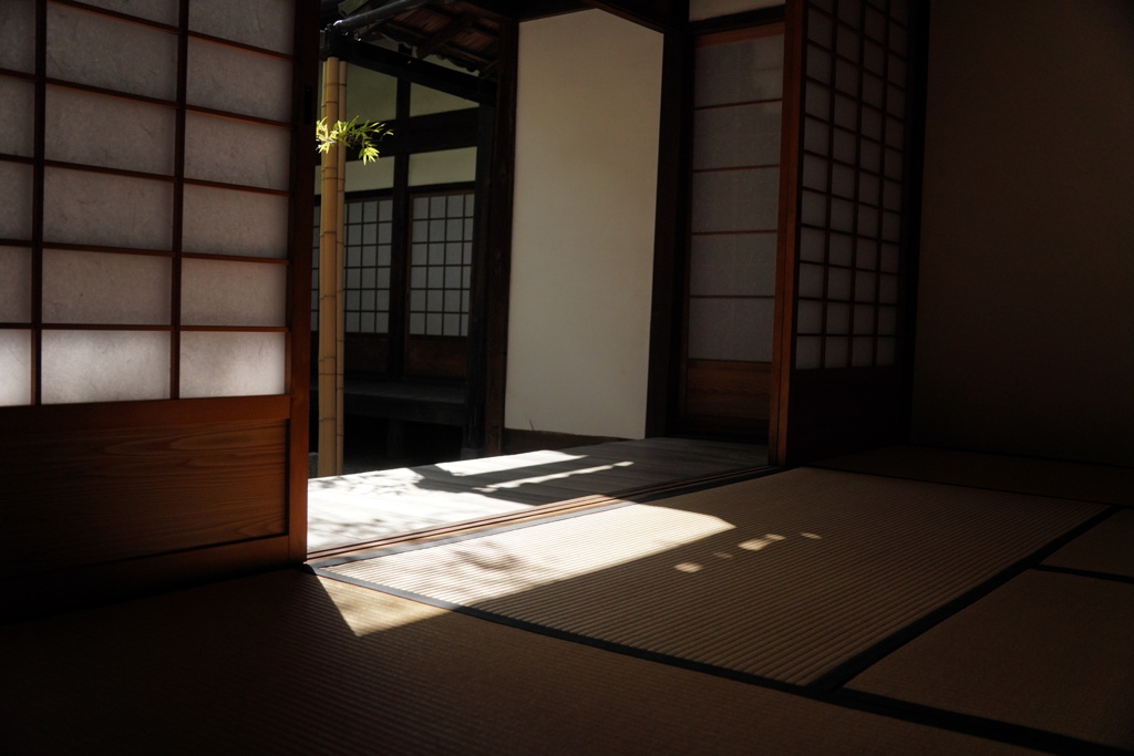 洛東にて