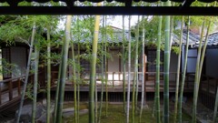 竹の坪庭