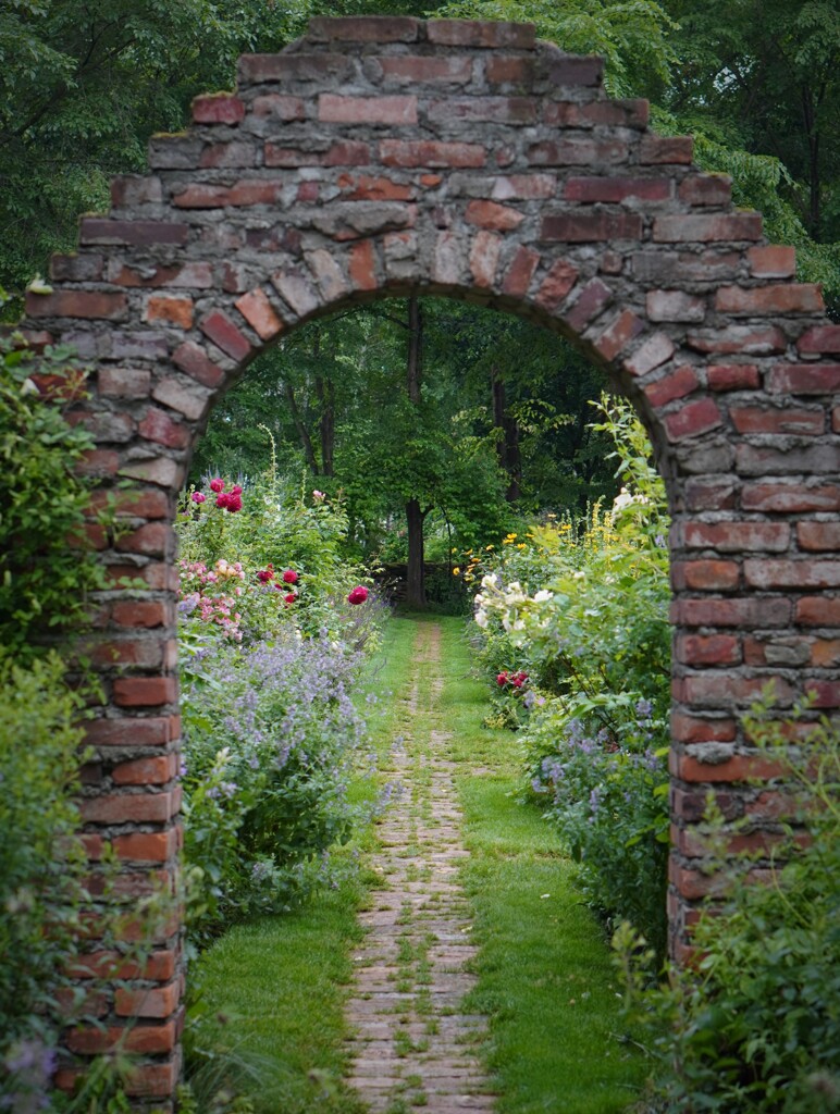 夢物語　welcome to garden