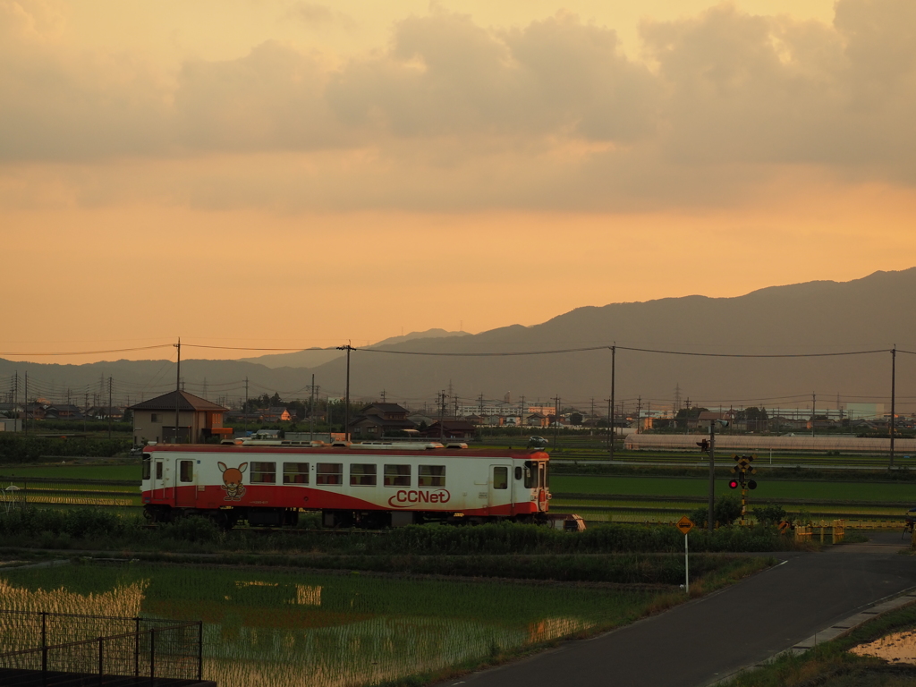 ローカル線と夕暮れ