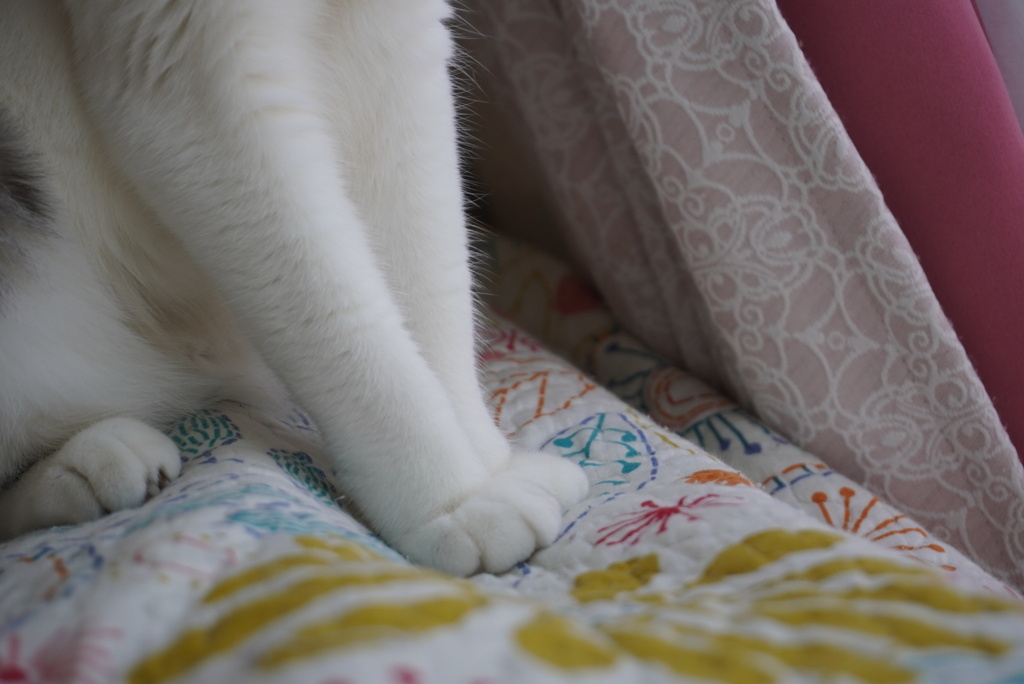 おてもと