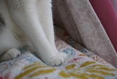おてもと