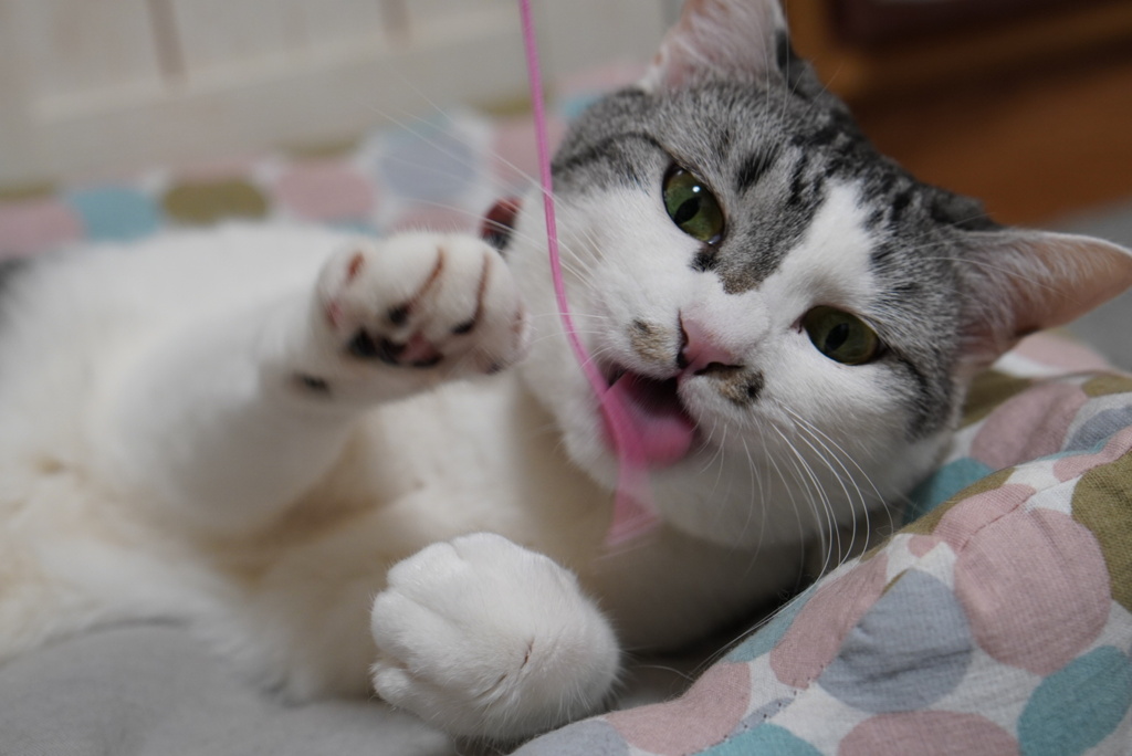 はうっ