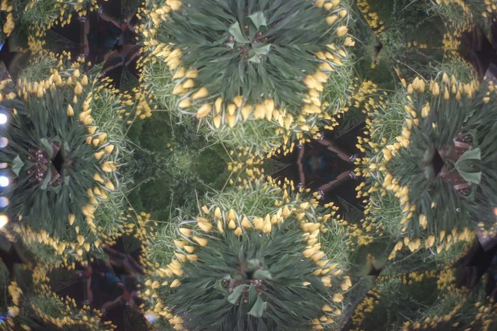 万華鏡風