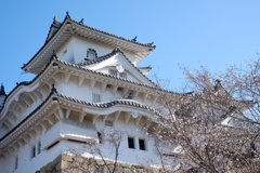 11月の姫路城