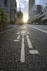 夕暮れの帰宅