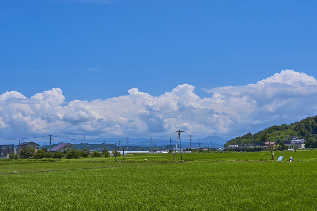 梅雨明け