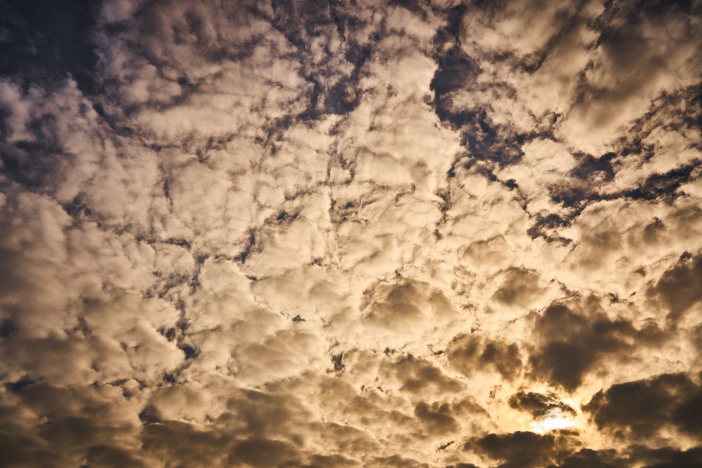 何雲？