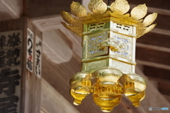雅