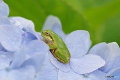 じっと…