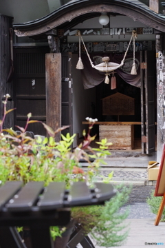 温泉の神様