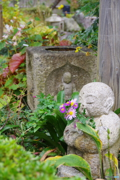 優しさに抱かれて…