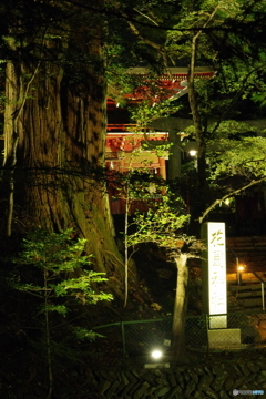 ライトに包まれて