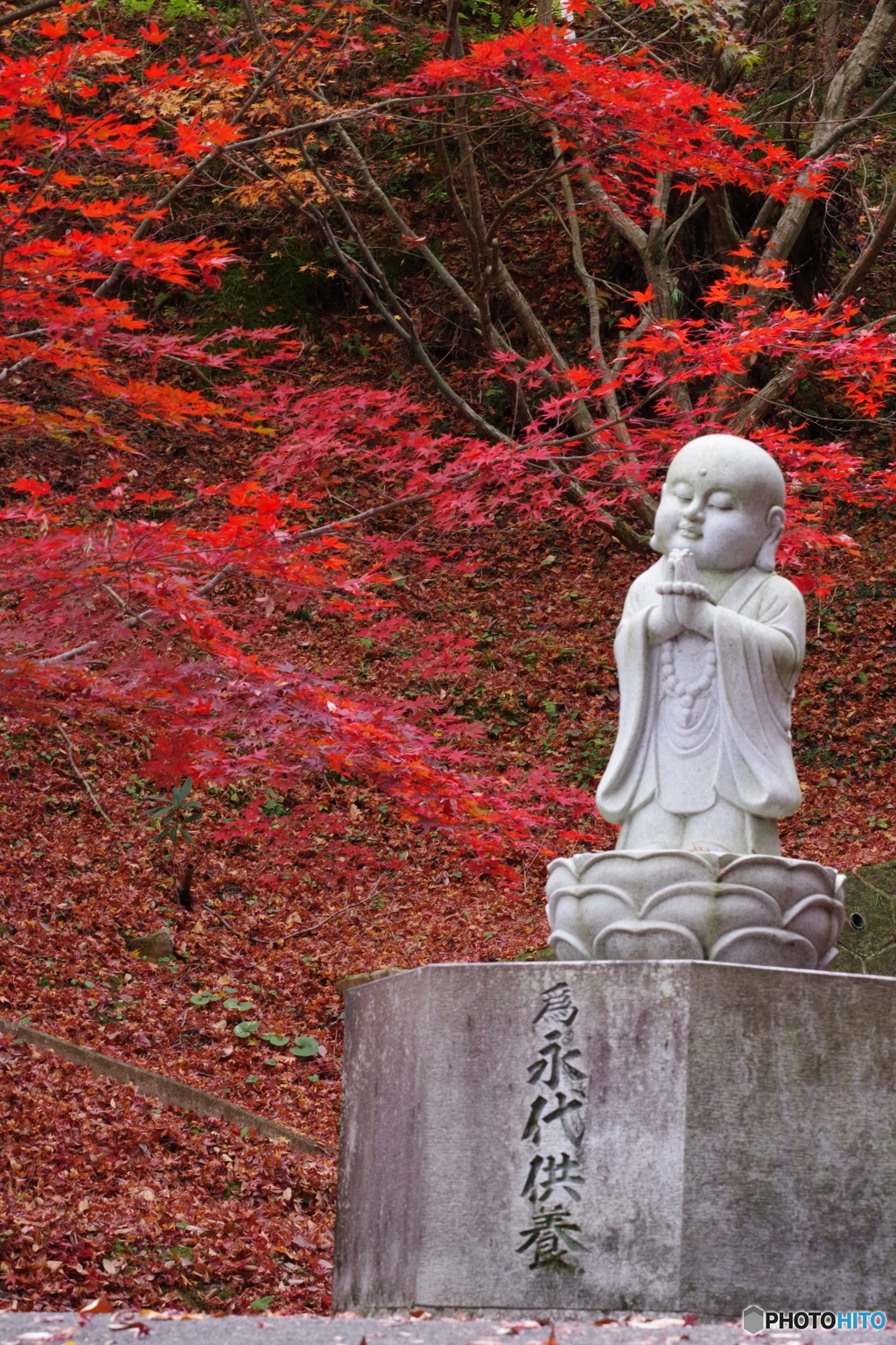 穏やかな笑顔に包まれて…