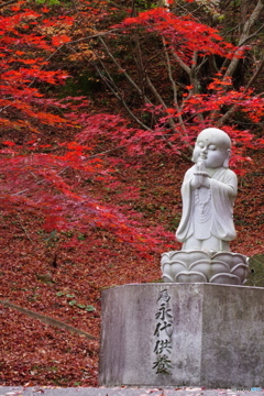 穏やかな笑顔に包まれて…