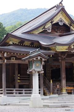 弥彦神社
