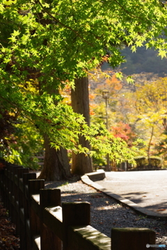 いこいの村
