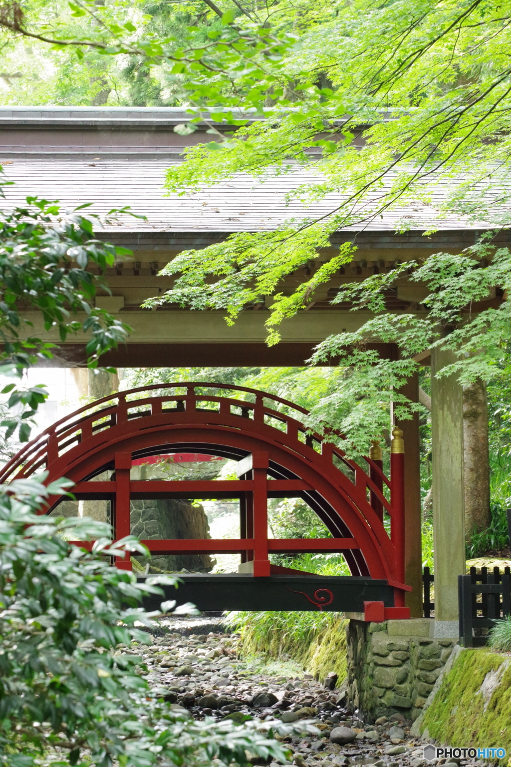 神様の橋