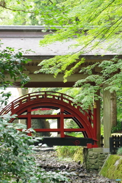 神様の橋