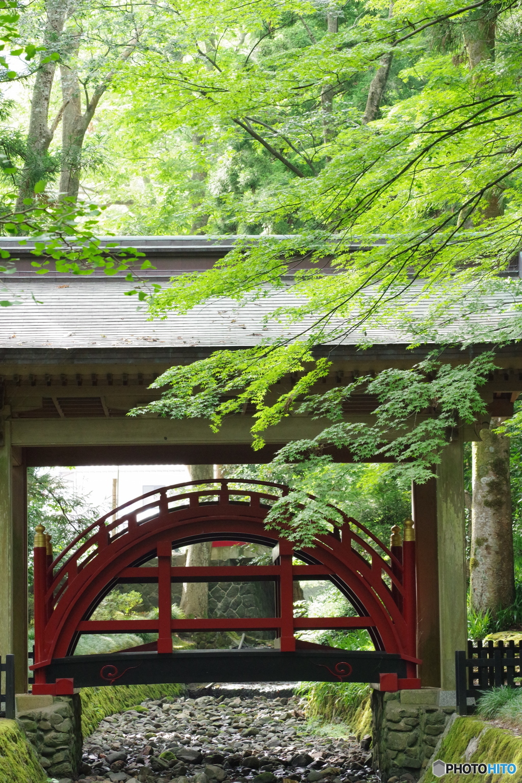 神様の橋