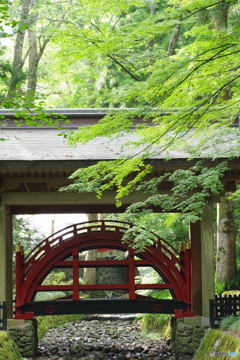 神様の橋