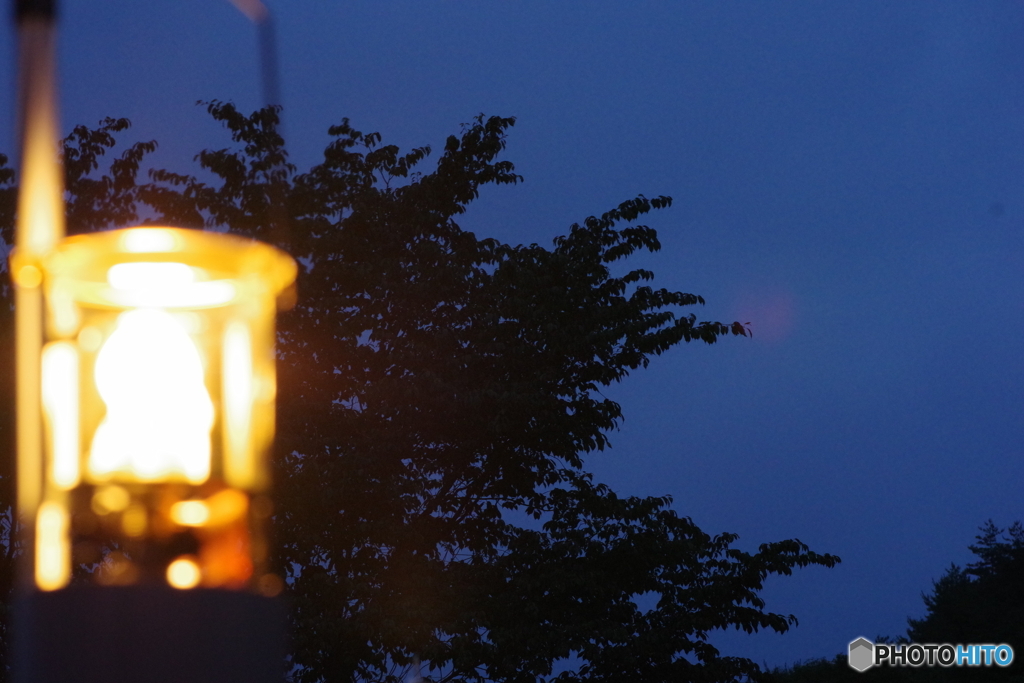 灯りと夜空