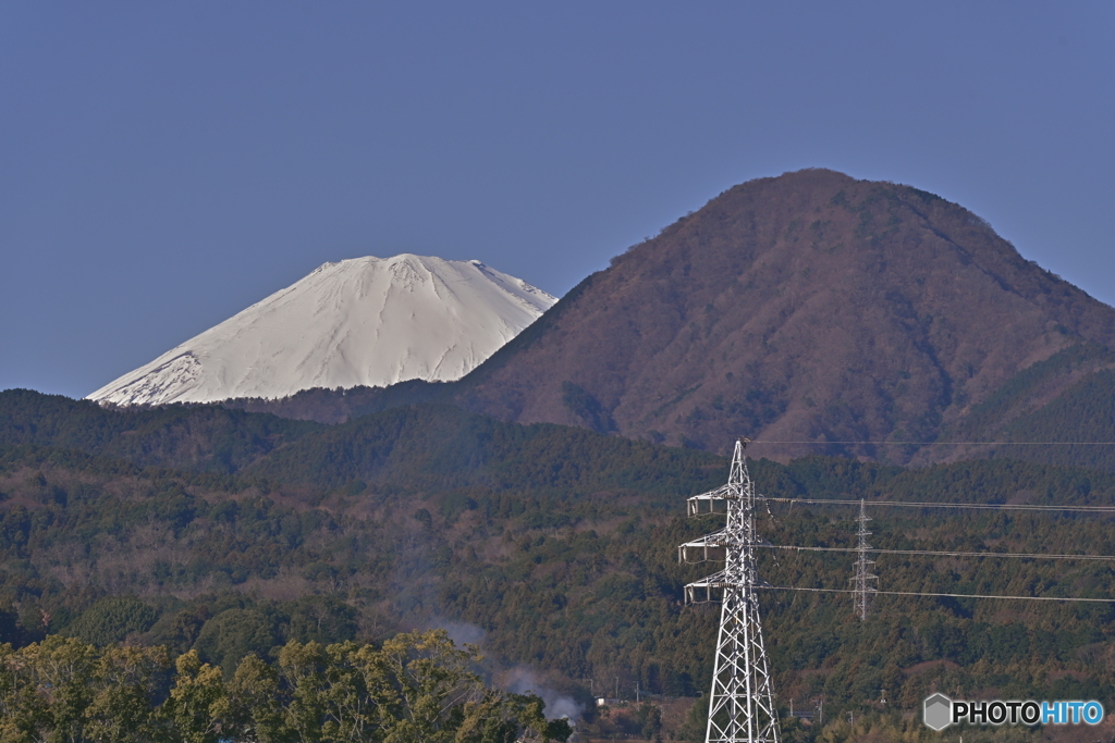 頭だけチラ見せ