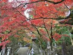 紅葉のモザイクの石段
