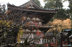 雨上がりの晩秋