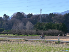 田舎道をお買い物
