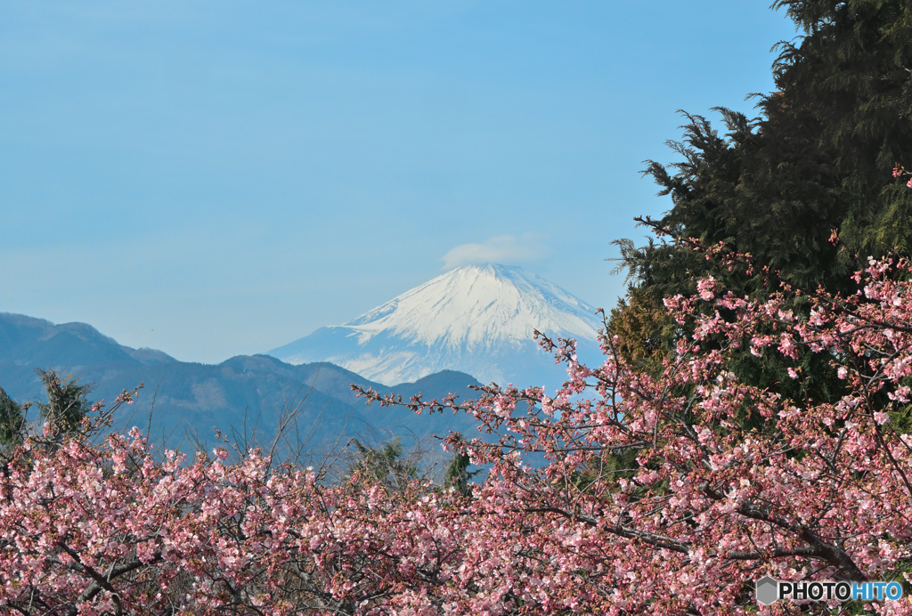 帽子を被ってご挨拶