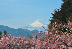 帽子を被ってご挨拶