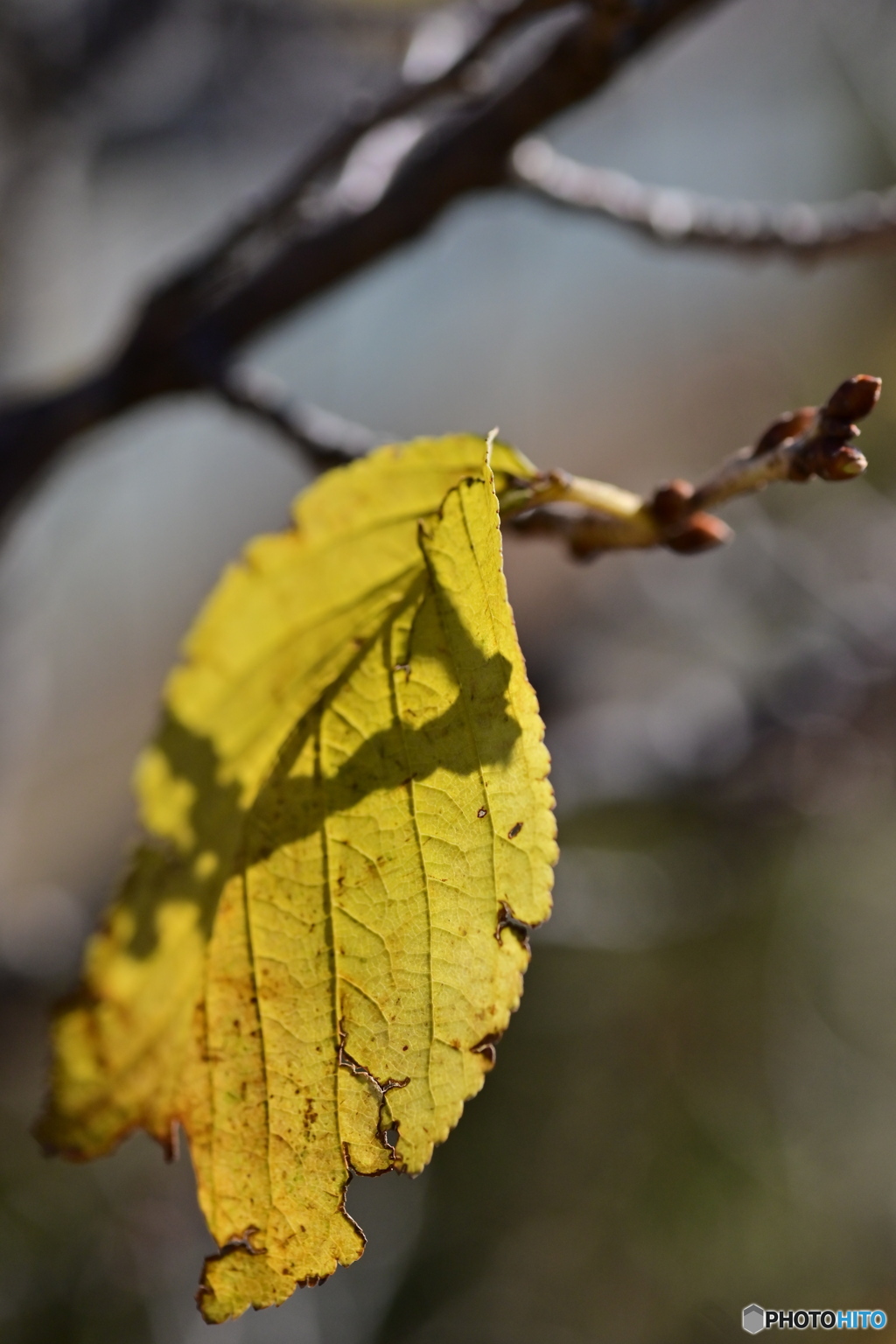 去り行くものと新しい生命