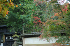 境内へのいざない