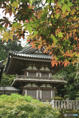 ささやかな紅葉