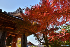 赤に染まる鐘撞堂