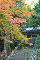 無念無想で登る石段