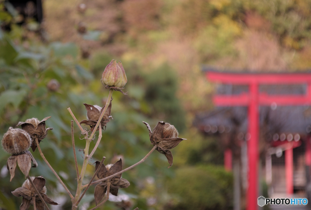 次世代への願い