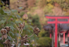 次世代への願い