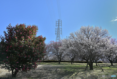 春光をたっぷり浴びて